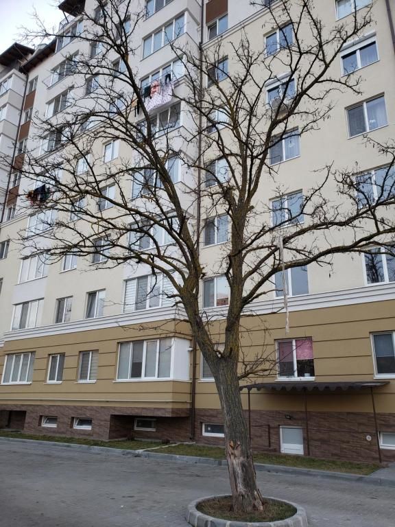 Апартаменты apartament Кишинёв-15
