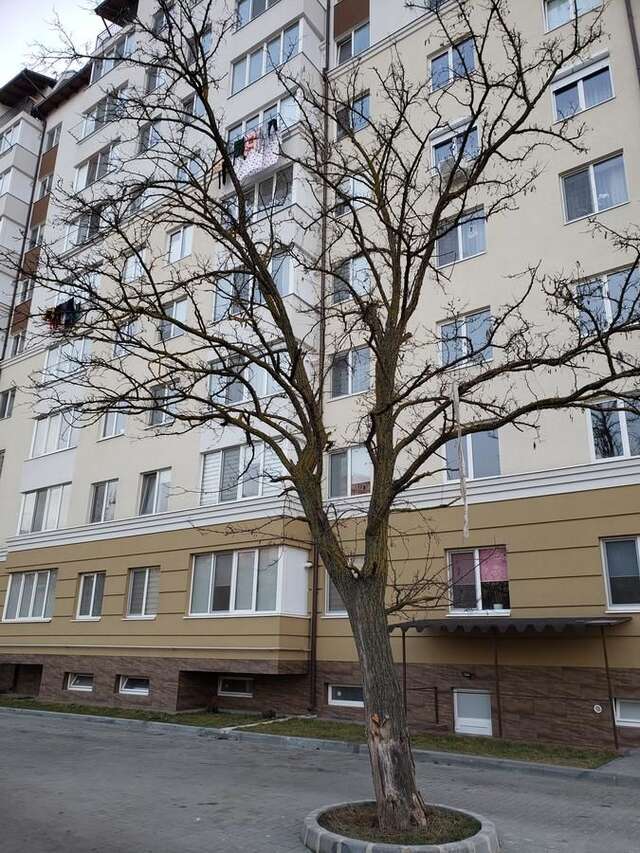Апартаменты apartament Кишинёв-3